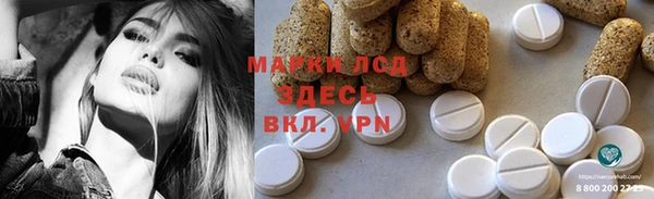 хмурый Арсеньев