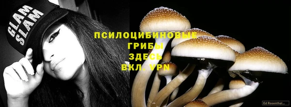 а пвп мука Аркадак