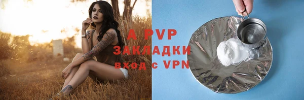 хмурый Арсеньев