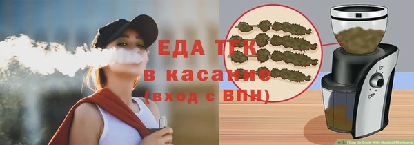 хмурый Арсеньев