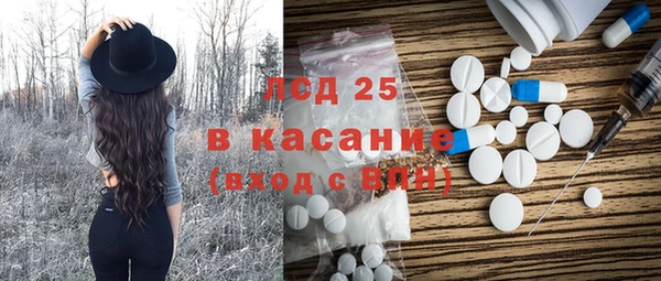 хмурый Арсеньев