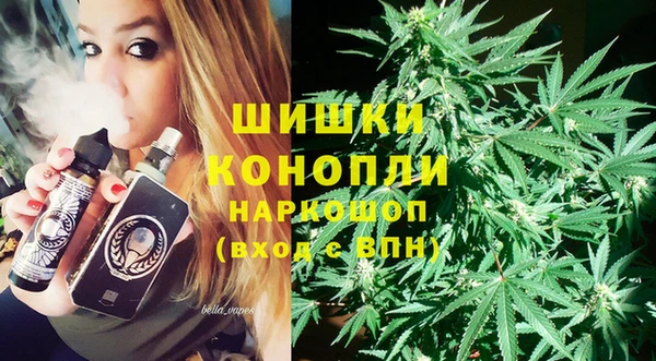 хмурый Арсеньев