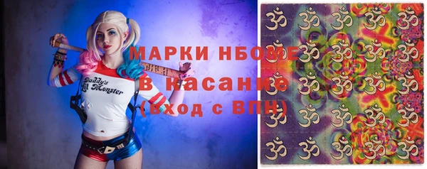 хмурый Арсеньев