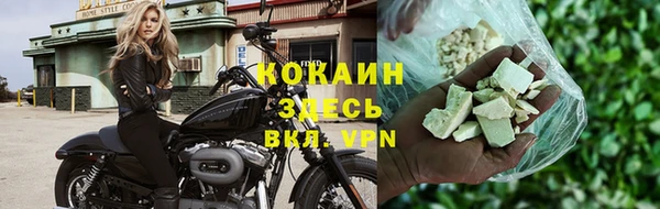 хмурый Арсеньев