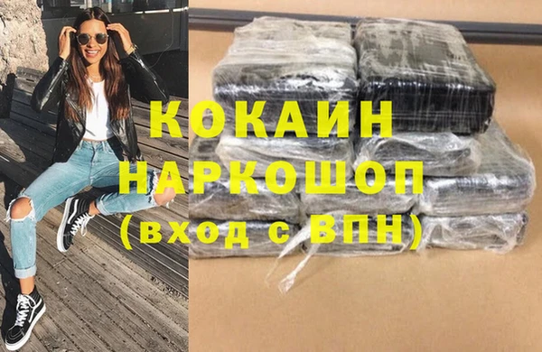 хмурый Арсеньев