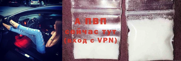 хмурый Арсеньев