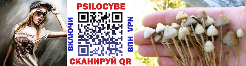 Купить где  Колпашево  Псилоцибиновые грибы ЛСД 